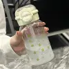 Simple water cup for girls with straw, high appearance level, summer student portable double drinking cup for girls 2026 new style cup Specification image